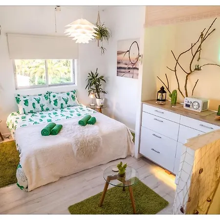 Casa Cactus Romantic 360 View Rooftop Loft Apartment