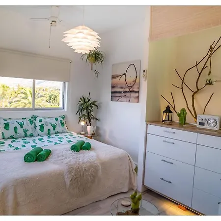 Casa Cactus Romantic 360 View Rooftop Loft *